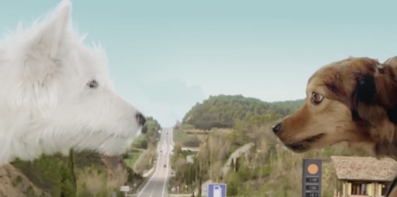 リアワイパー専用おもしろステッカー10選