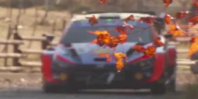 2023年WRC(世界ラリー)テレビ放送ネット配信予定 第13戦ラリー・ジャパン